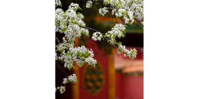 【展會資訊】臺群精機(jī)5月展會一覽，等您來參觀！